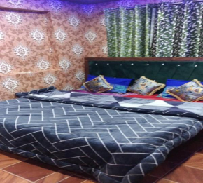 Guddu guest house Srinagar
